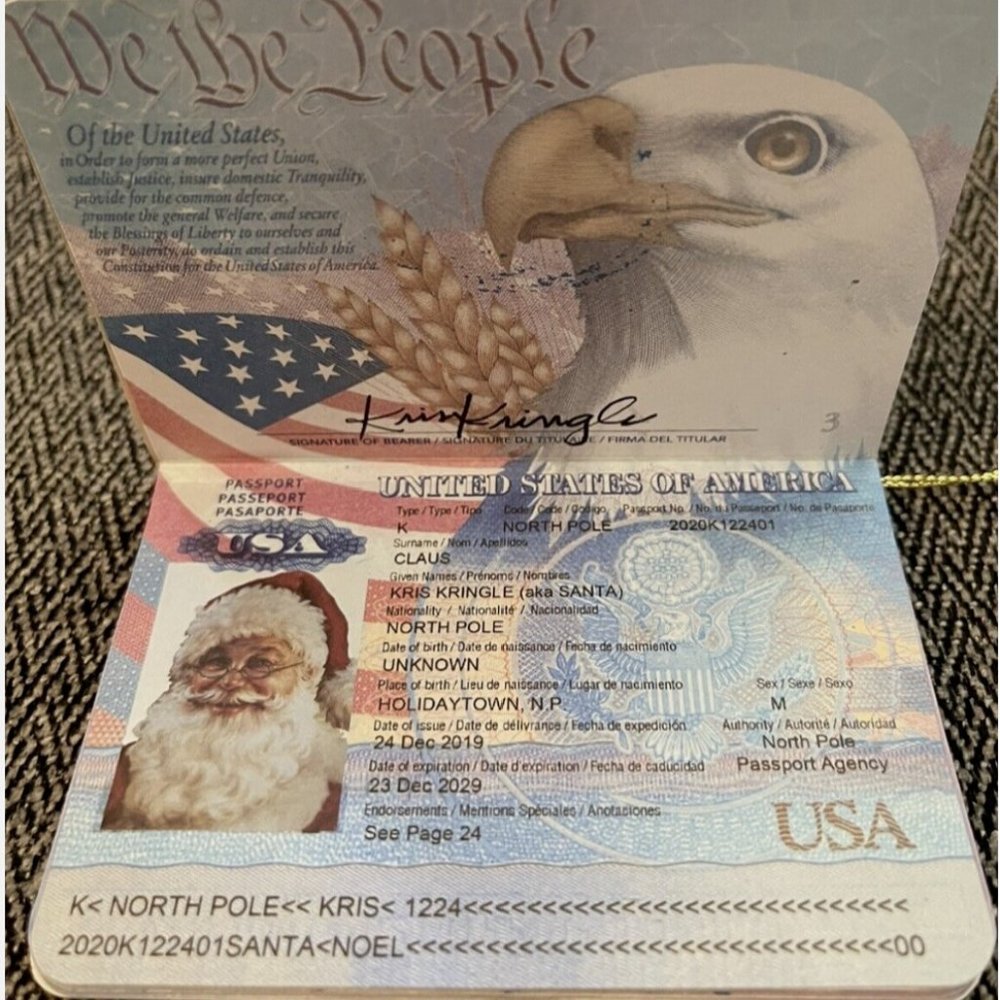 USA SANTA Passport Christmas Ornament ~ Realistic * World Travel ~ Wondershop - Picture 3 of 8
